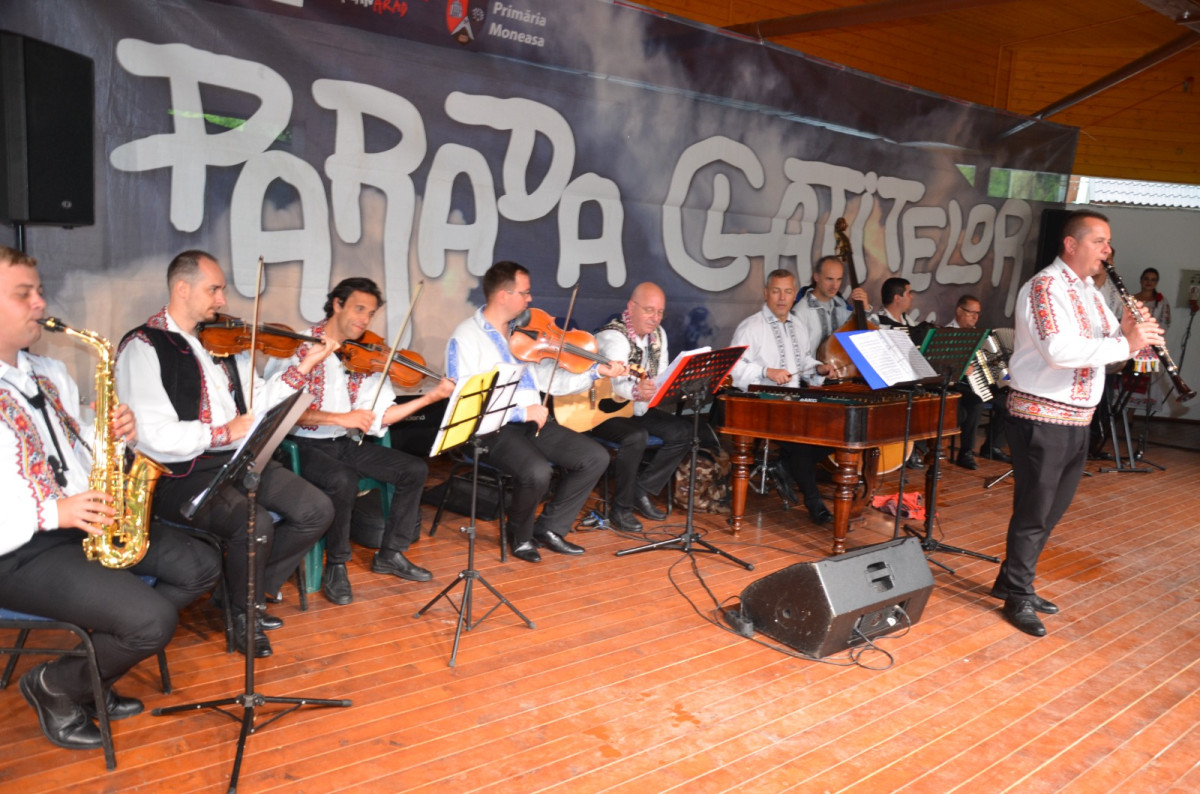 Orchestra „Frații Șandru